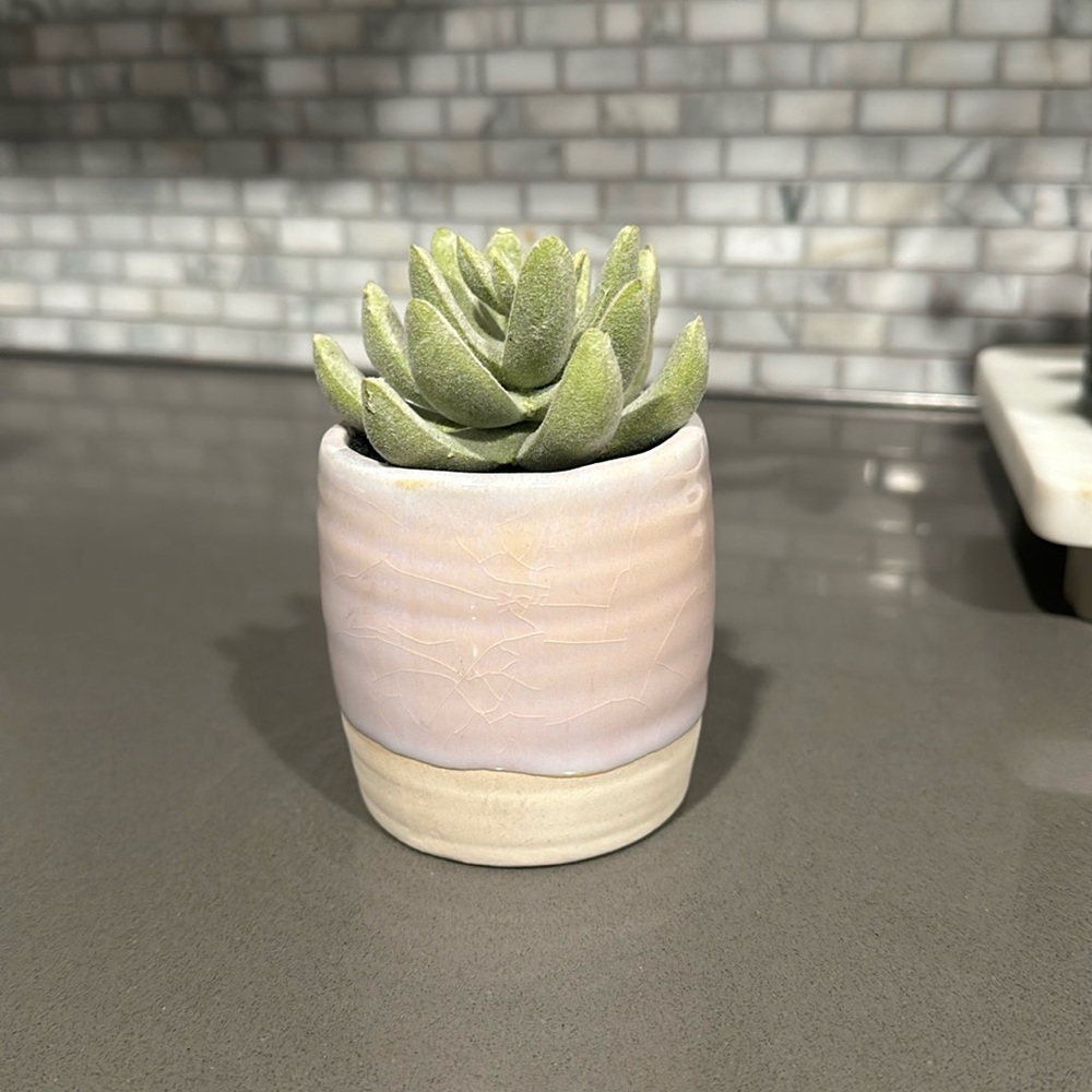 Threshold Tabletop Arrangement